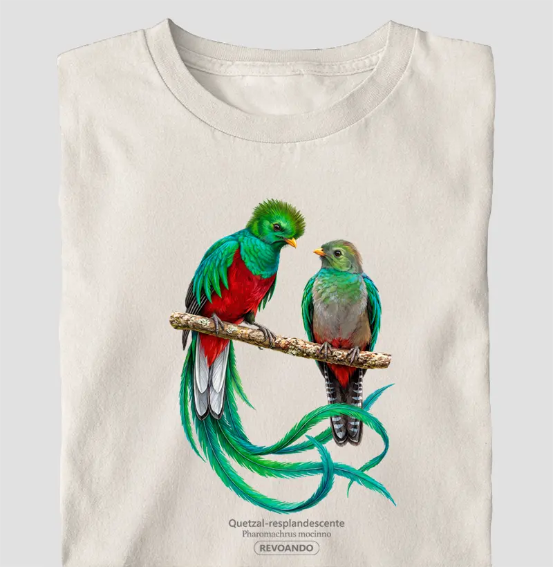 Traços Alados - Quetzal-resplandescente - Oversized - Camiseta Oversized