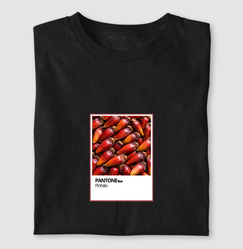 PANTONE RS - Pinhão