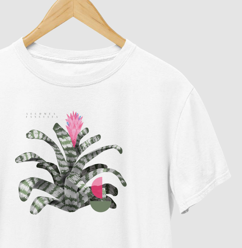 Bromélia - Aechmea fasciata