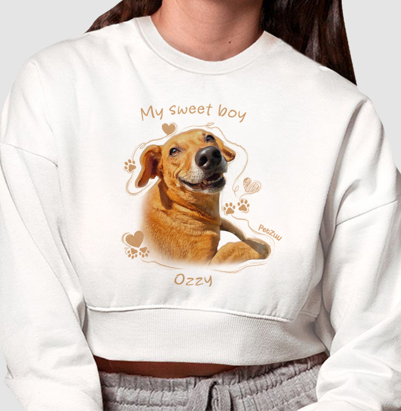 PTZU_UN-001