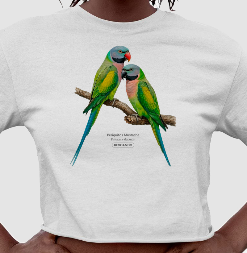 Traços Alados - Mustache - Cropped