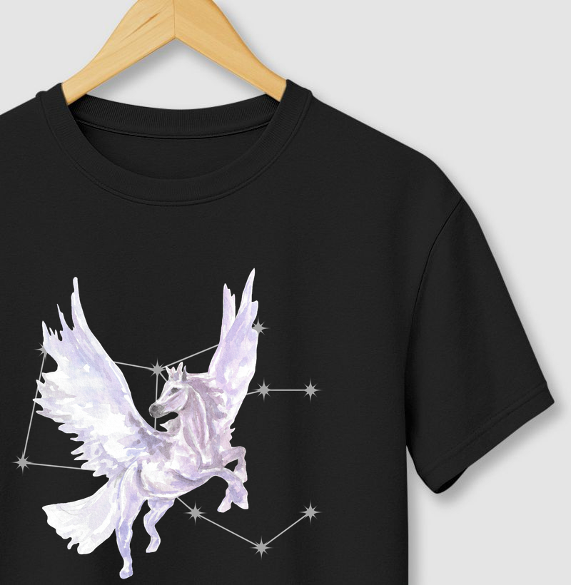 Pégaso e sua Constelação