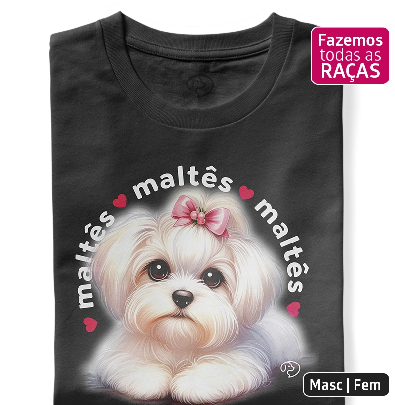 Maltês Fêmea Puppy