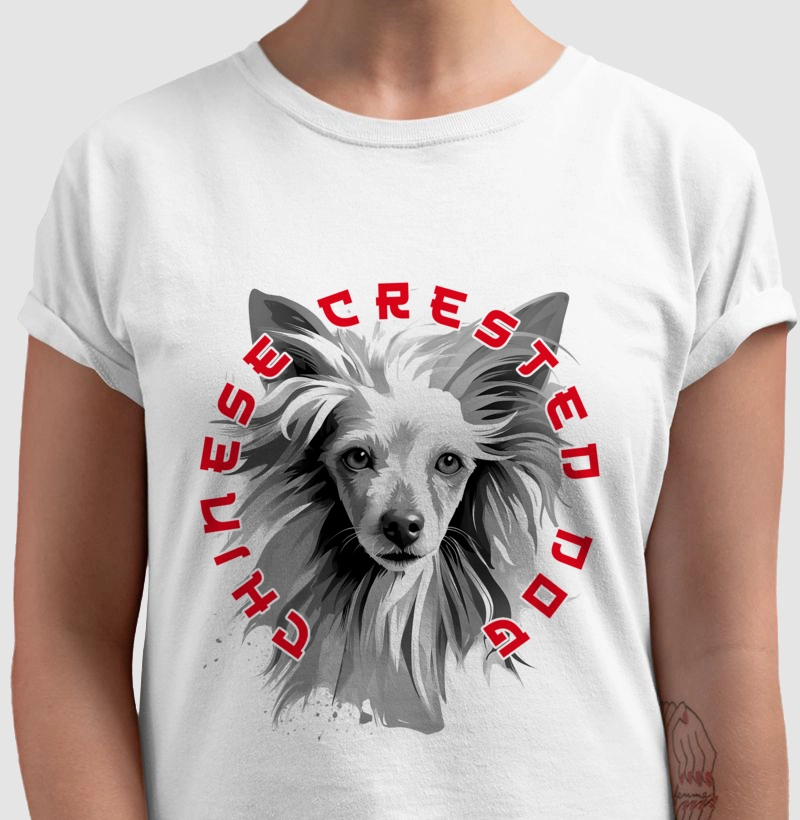 Cão de Crista Chinês Ai 