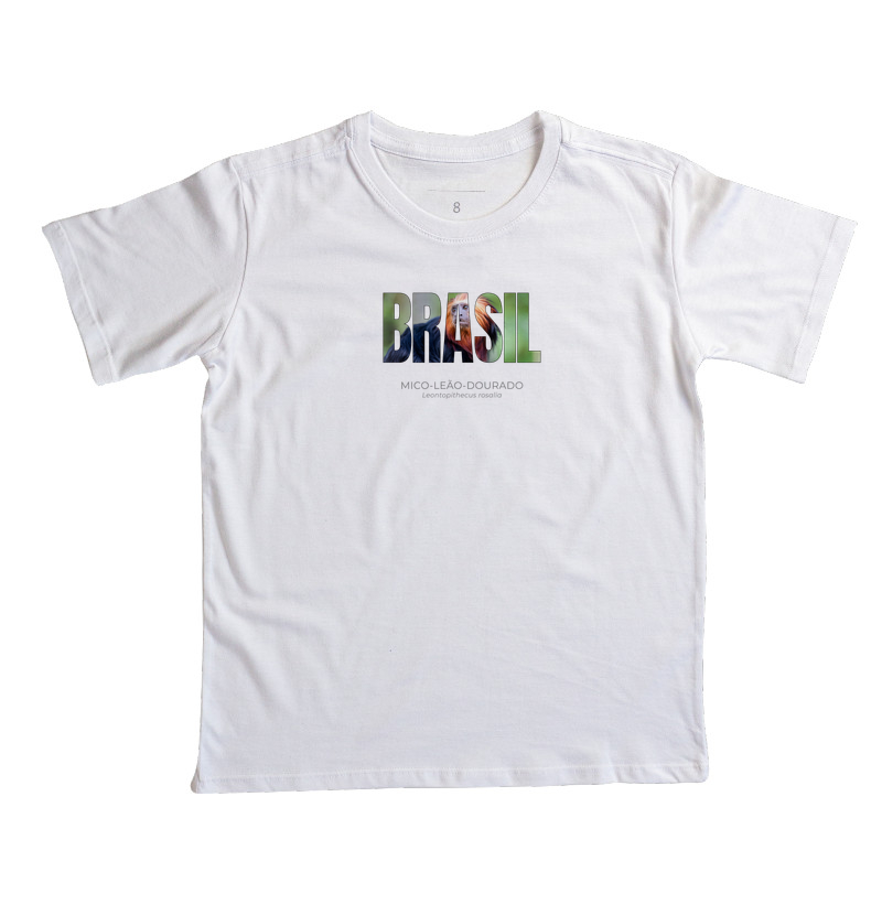 Animais do Brasil – Mico-leão-dourado