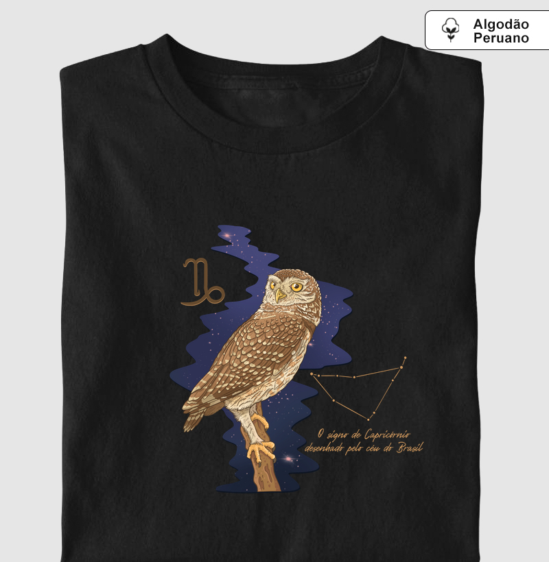 Capricórnio pelo céu do Brasil