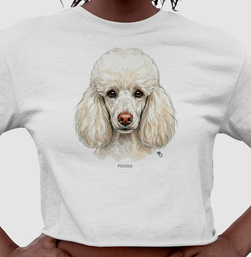 Cães - Poodle - Cropped