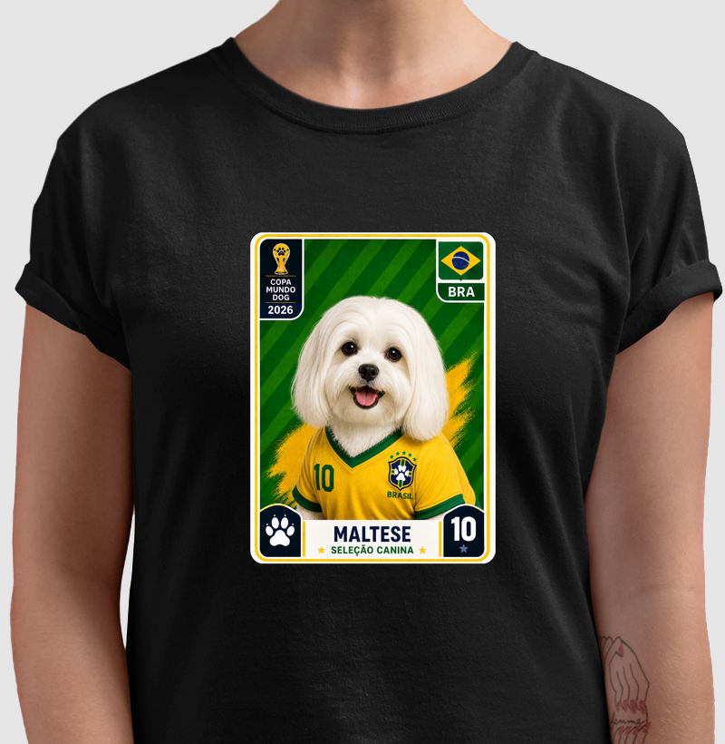 Maltese - Seledogs