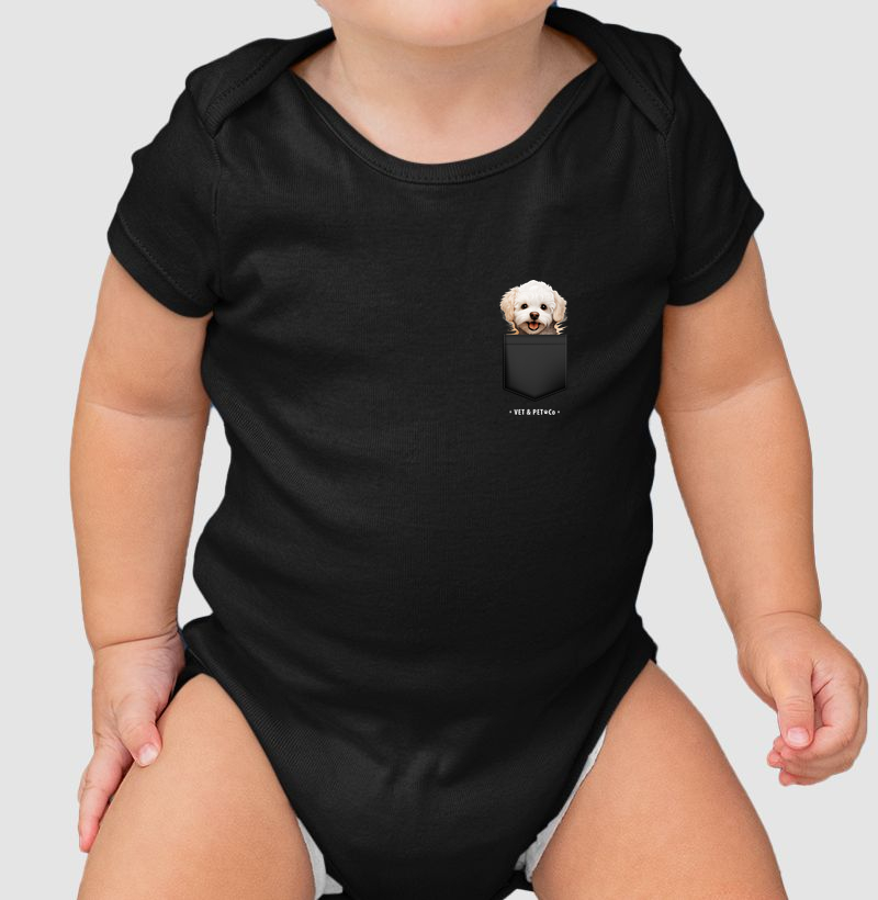 Cachorro de bolso (Bichon Frisé)