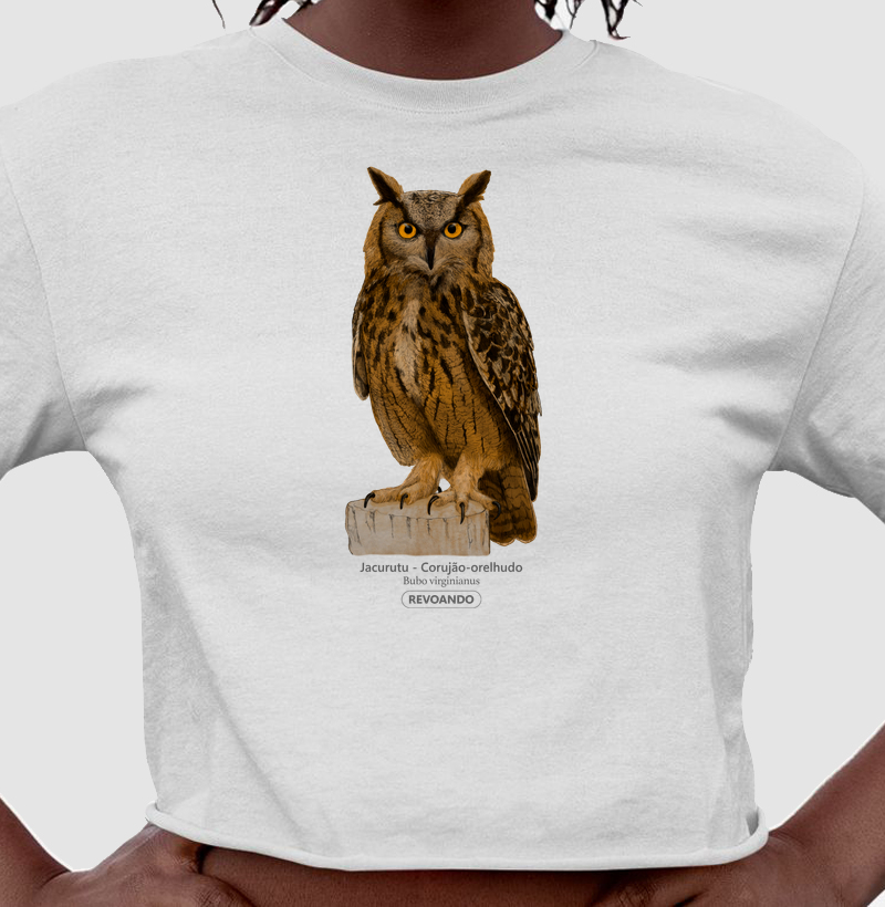 Aves do Brasil - Jacurutu - Corujão-orelhudo - Cropped