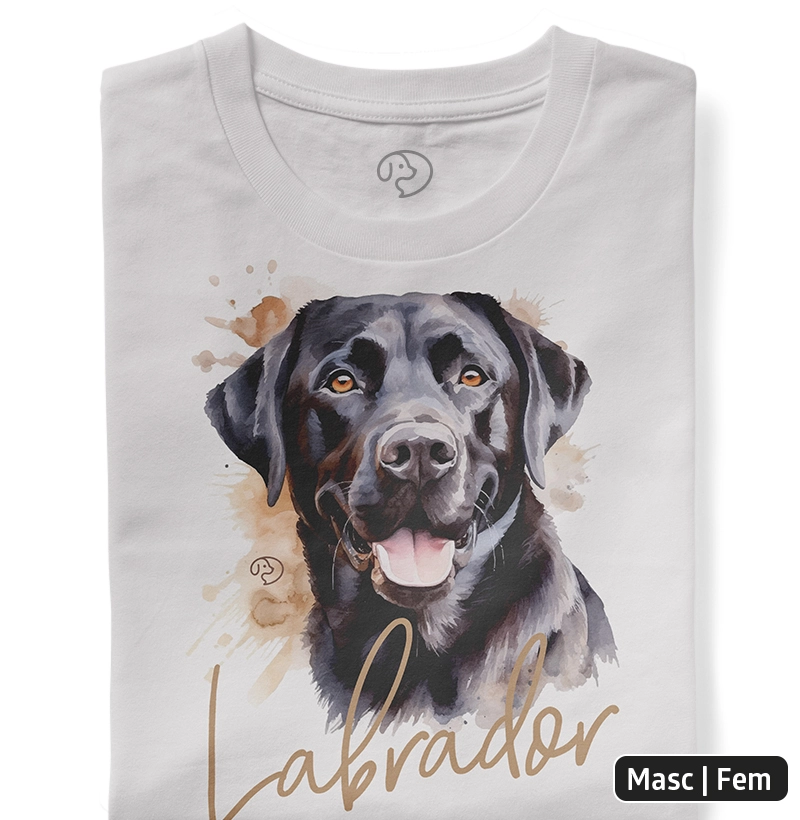 Labrador Black Splash