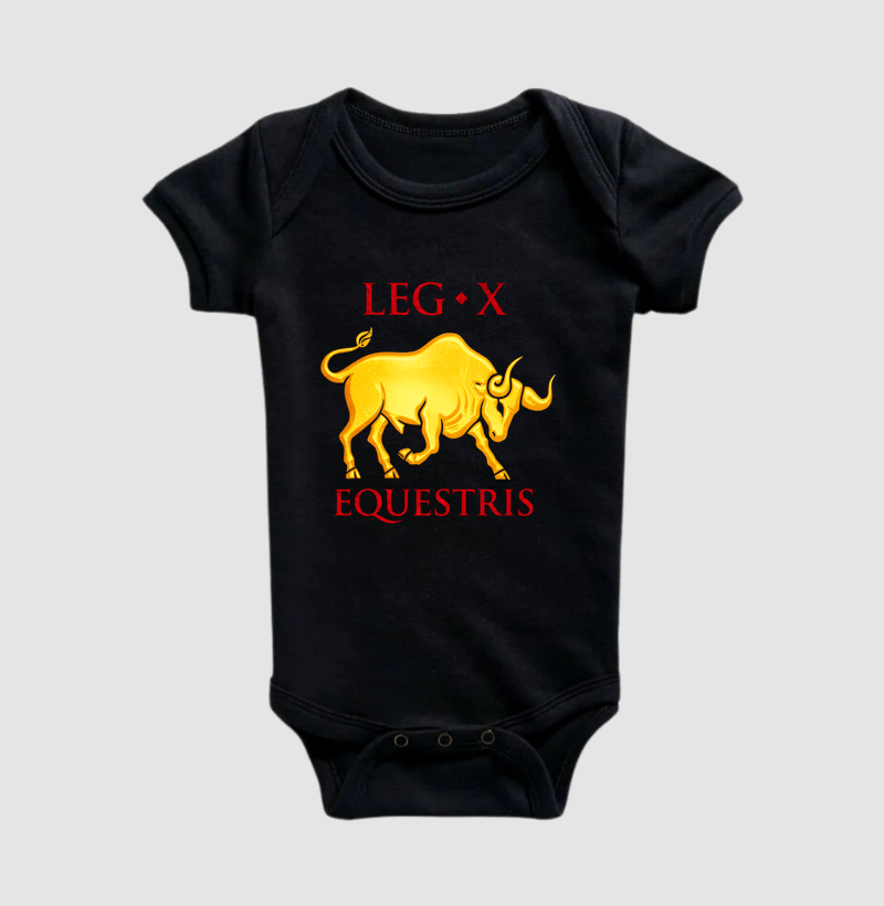 LEGIO — X Equestris