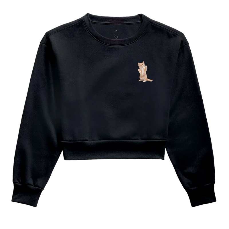 Gatinho Laranja Minimalista