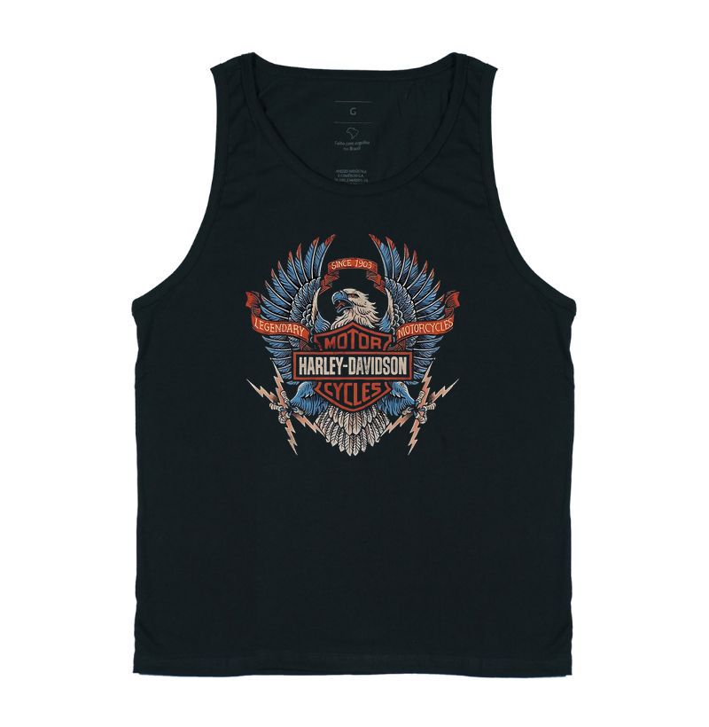 Regata Harley Davidson 3