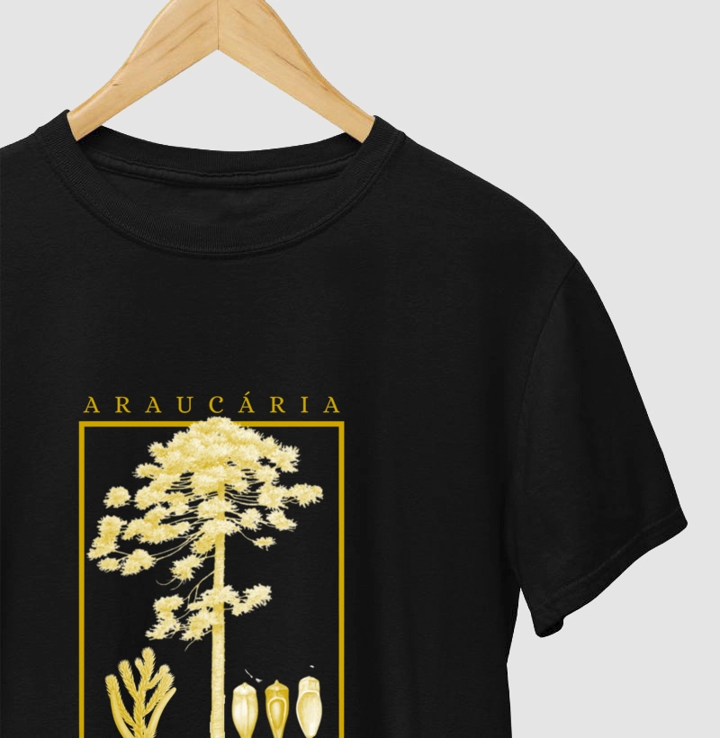 ARAUCARIA 