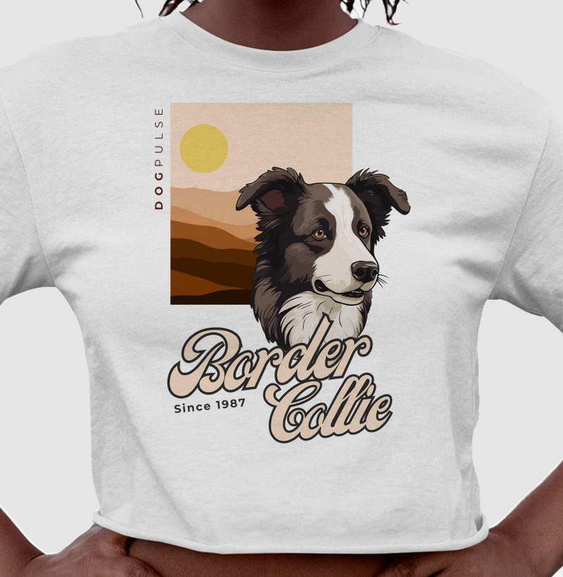 Cropped Border Collie Busto Dog Pulse