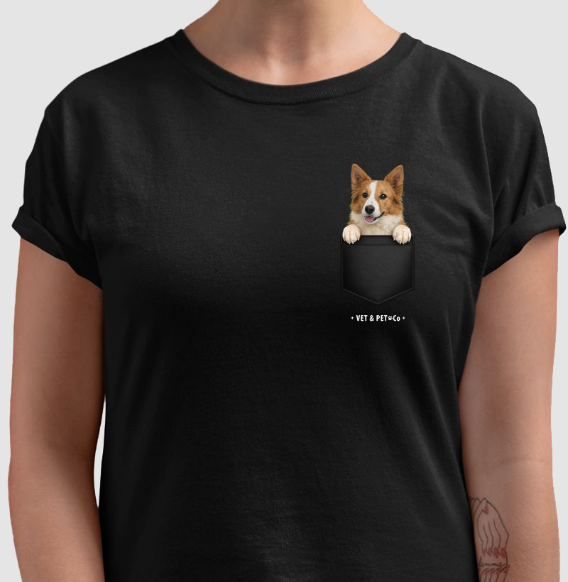 Cachorro de bolso (Border Collie)