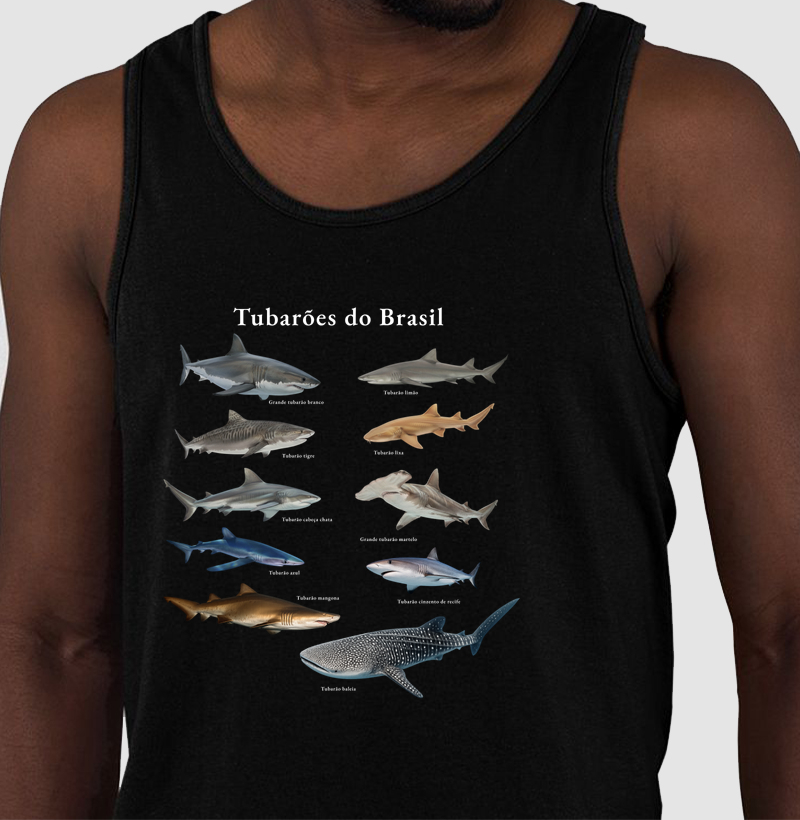 Tubarões do Brasil - Regata