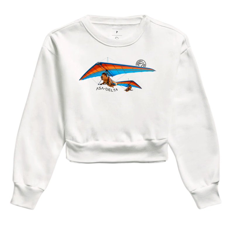 Asa-delta - Capivara