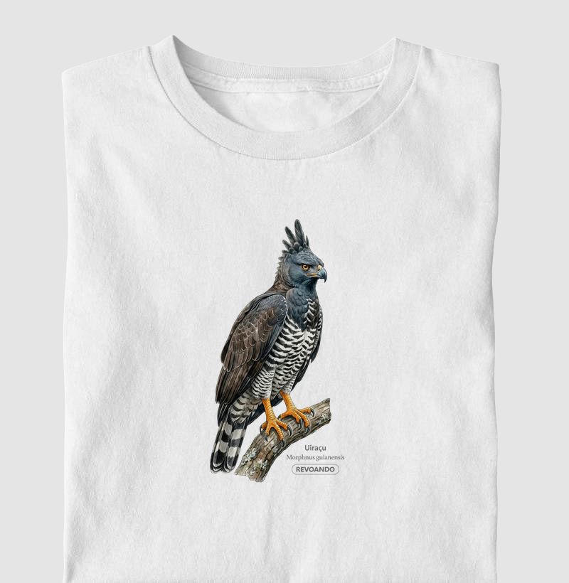 Traços Alados - Uiraçu