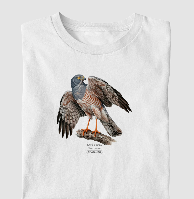 Traços Alados - Gavião-cinza - Infantil