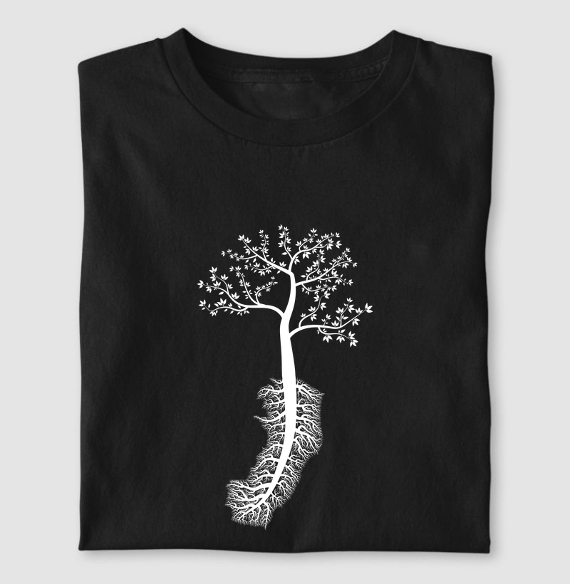 Espírito Santo | Raízes