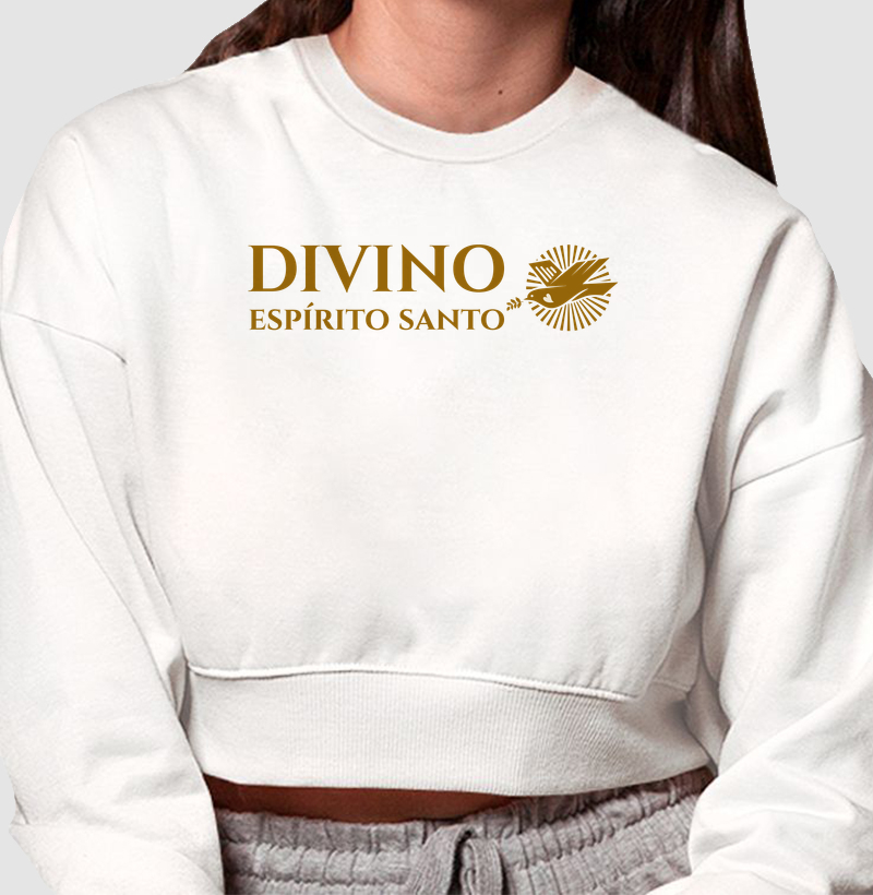 Festa do Divino de Turmalina 2026
