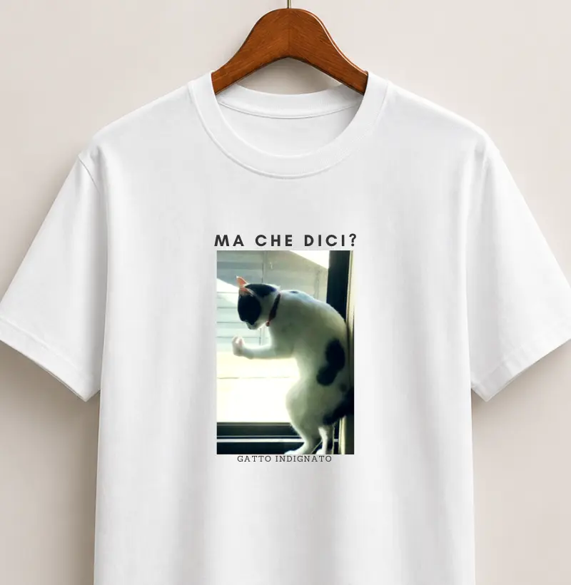 GATTO INDIGNATO