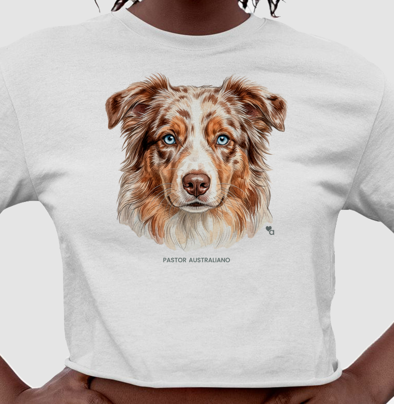 Cães - Pastor Australiano (Red Merle) - Cropped - Cropped