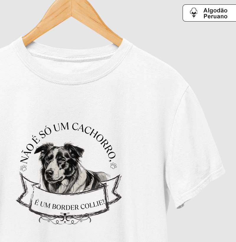 Não é só um cachorro. É um Border Collie.