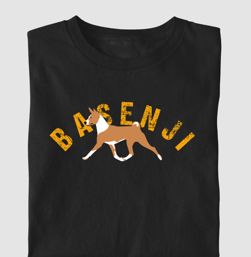 Basenji Laranja