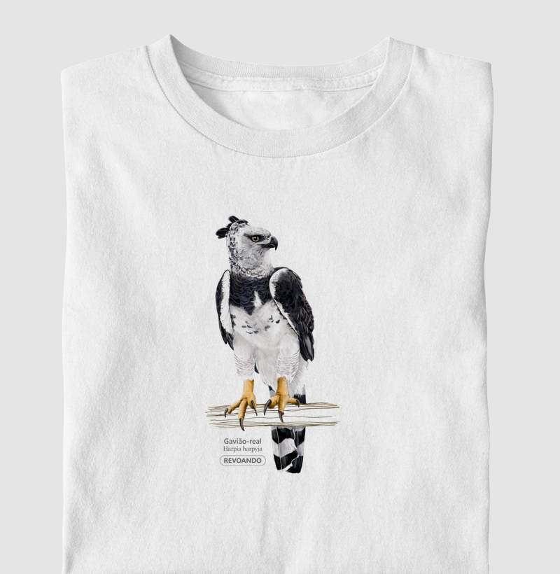 Aves do Brasil - Gavião-real - Harpia