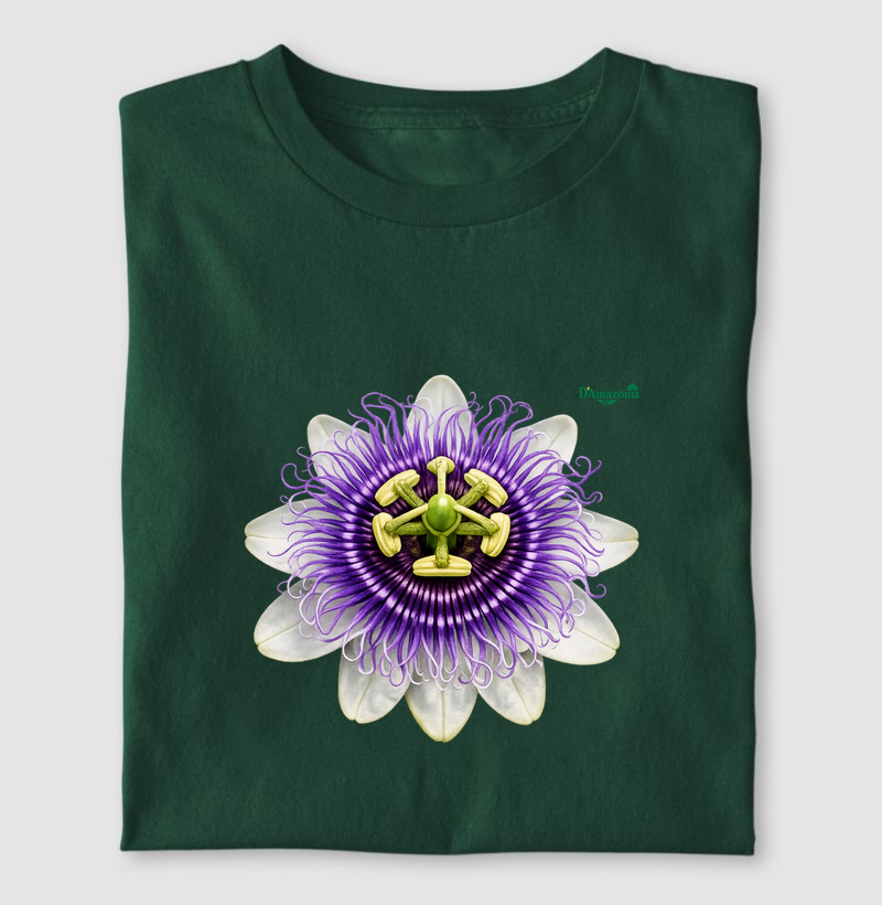 Flor da paixão