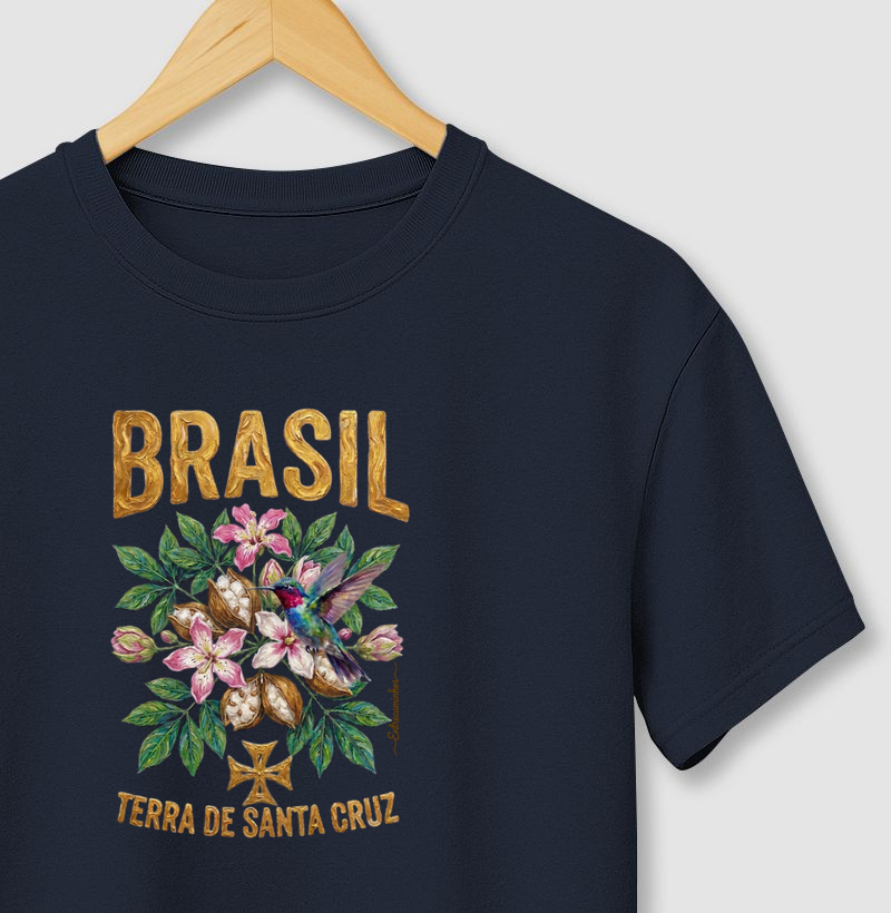 Paineira e Beija-flor