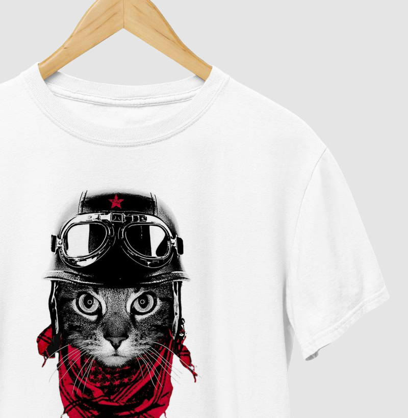 Gato Motociclista