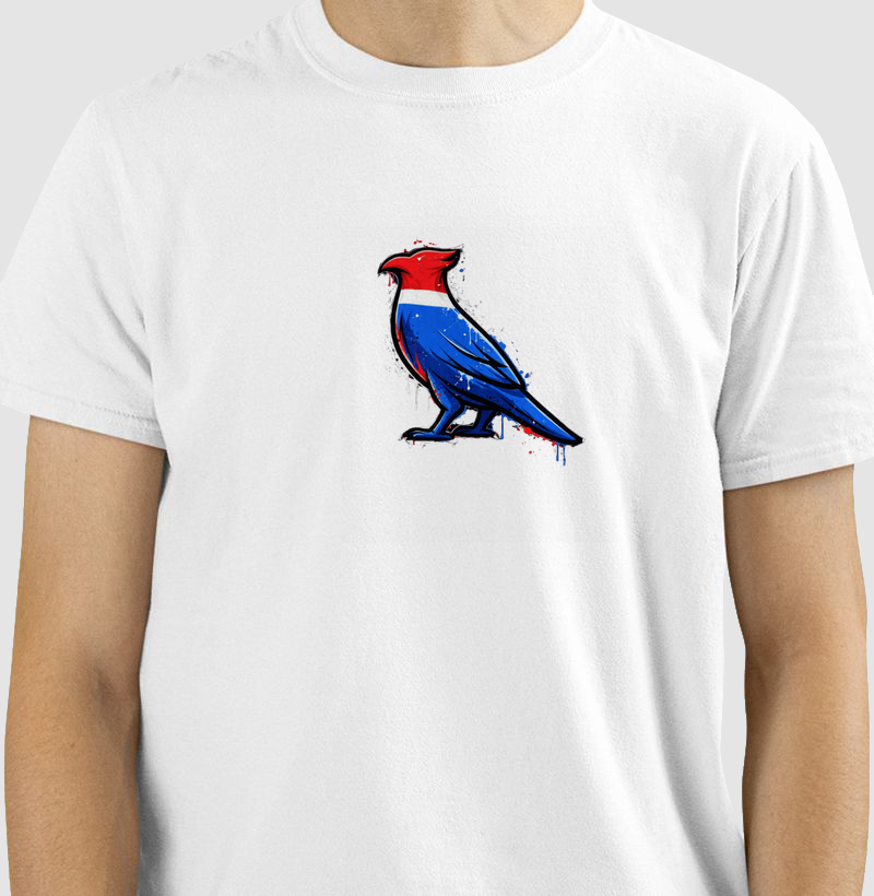 Essa estampa não é só moda — é manifesto, é território, é poder. O Carcará urbano chegou para dominar o asfalto com a mesma bravura com que domina o céu. - Camiseta