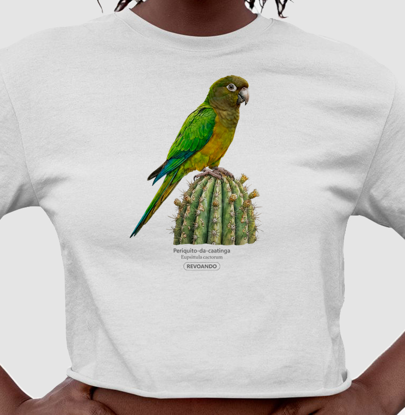 Traços Alados - Periquito-da-caatinga - Cropped