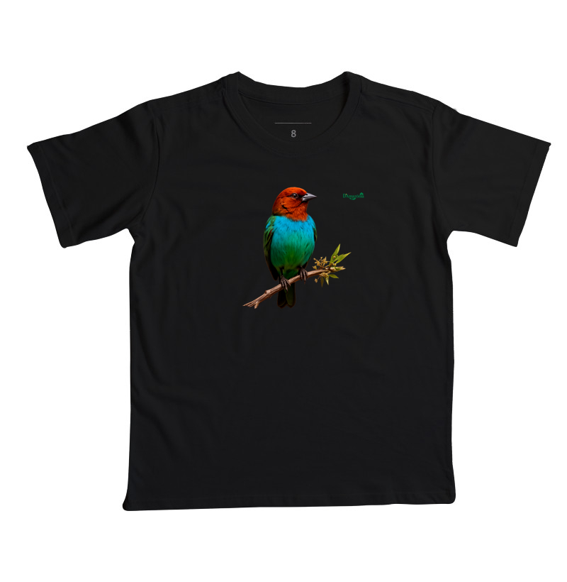 Saíra-de-Cabeça-Castanha