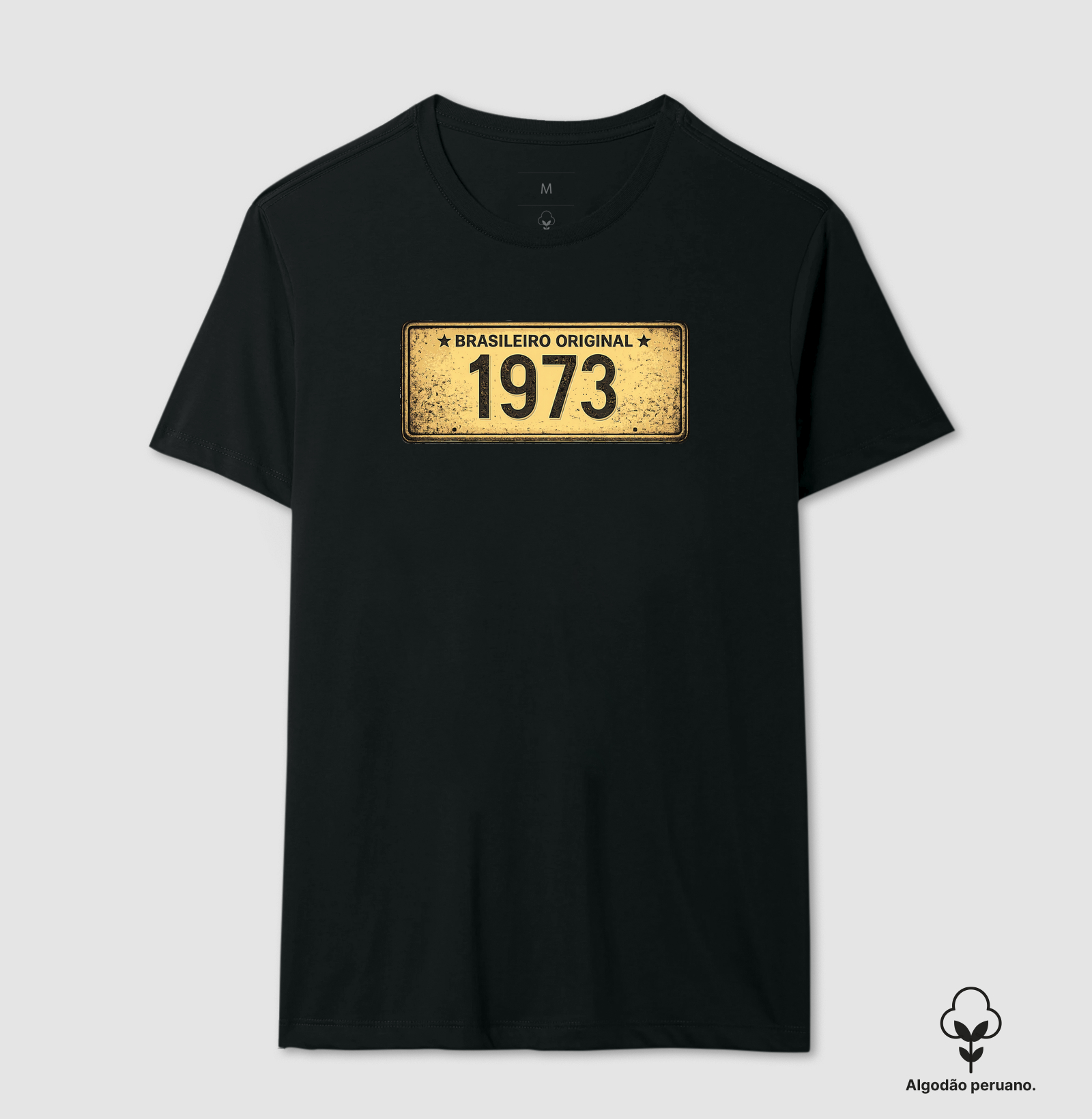 BRASILEIRO PLACA AMARELA 1973