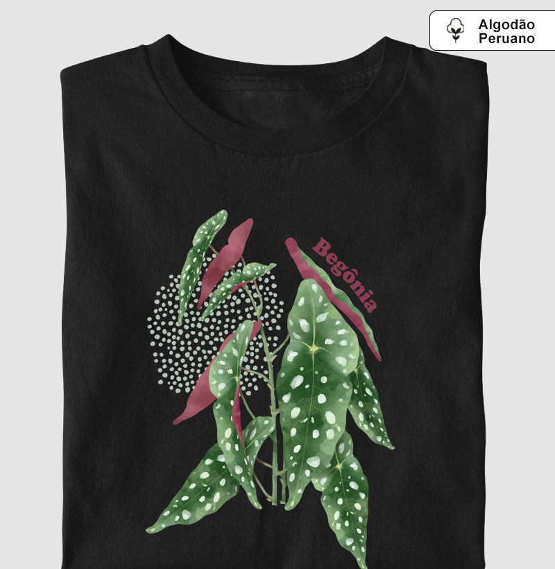 Begônia Maculata - Algodão peruano