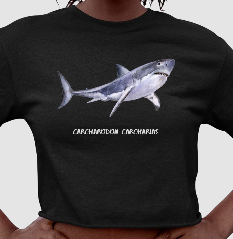 Carcharodon carcharias - Cropped