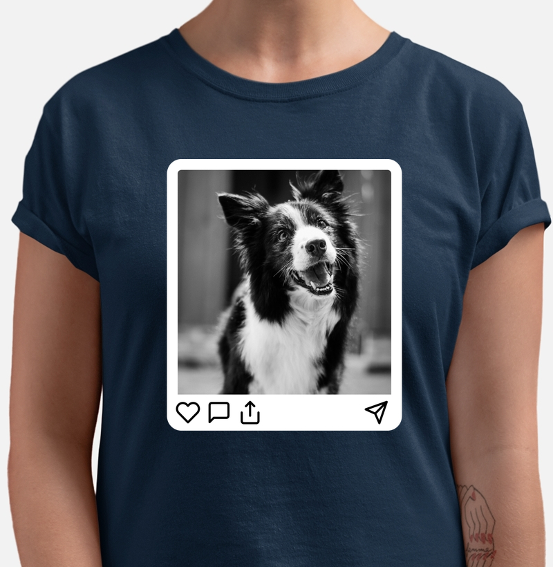 Pawfect Post