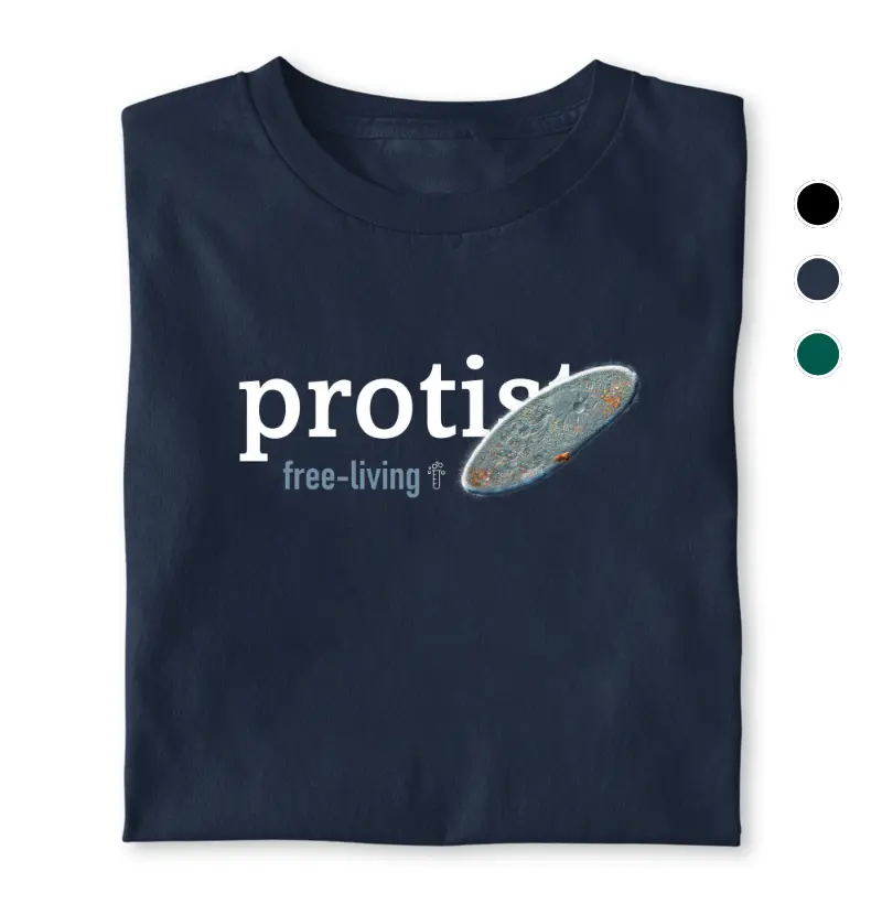 Protist