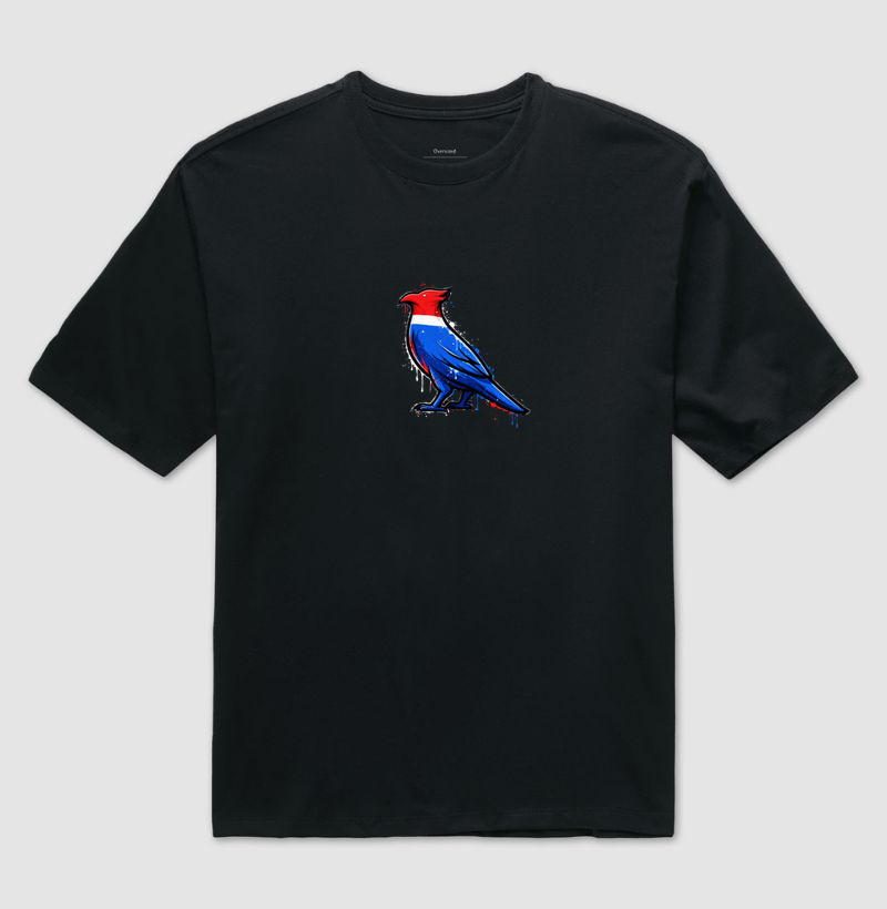 Essa estampa não é só moda — é manifesto, é território, é poder. O Carcará urbano chegou para dominar o asfalto com a mesma bravura com que domina o céu. - Camiseta Oversized