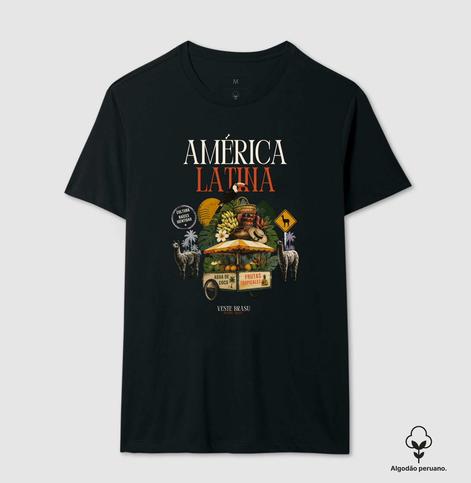 América Latina