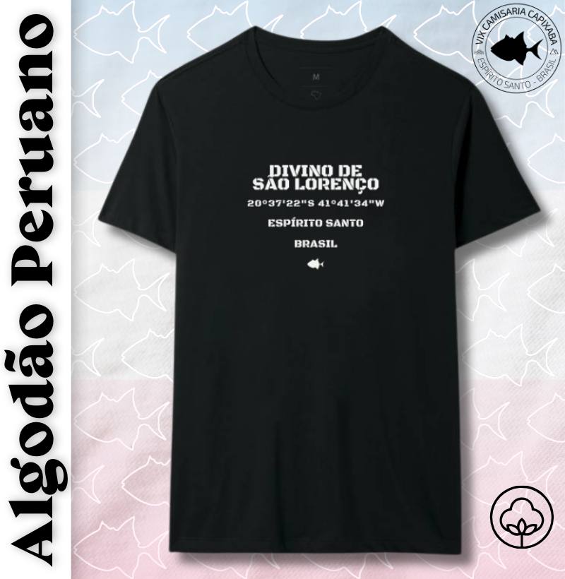 Coordenadas Divino de São Lourenço ES - Peruano - #28290