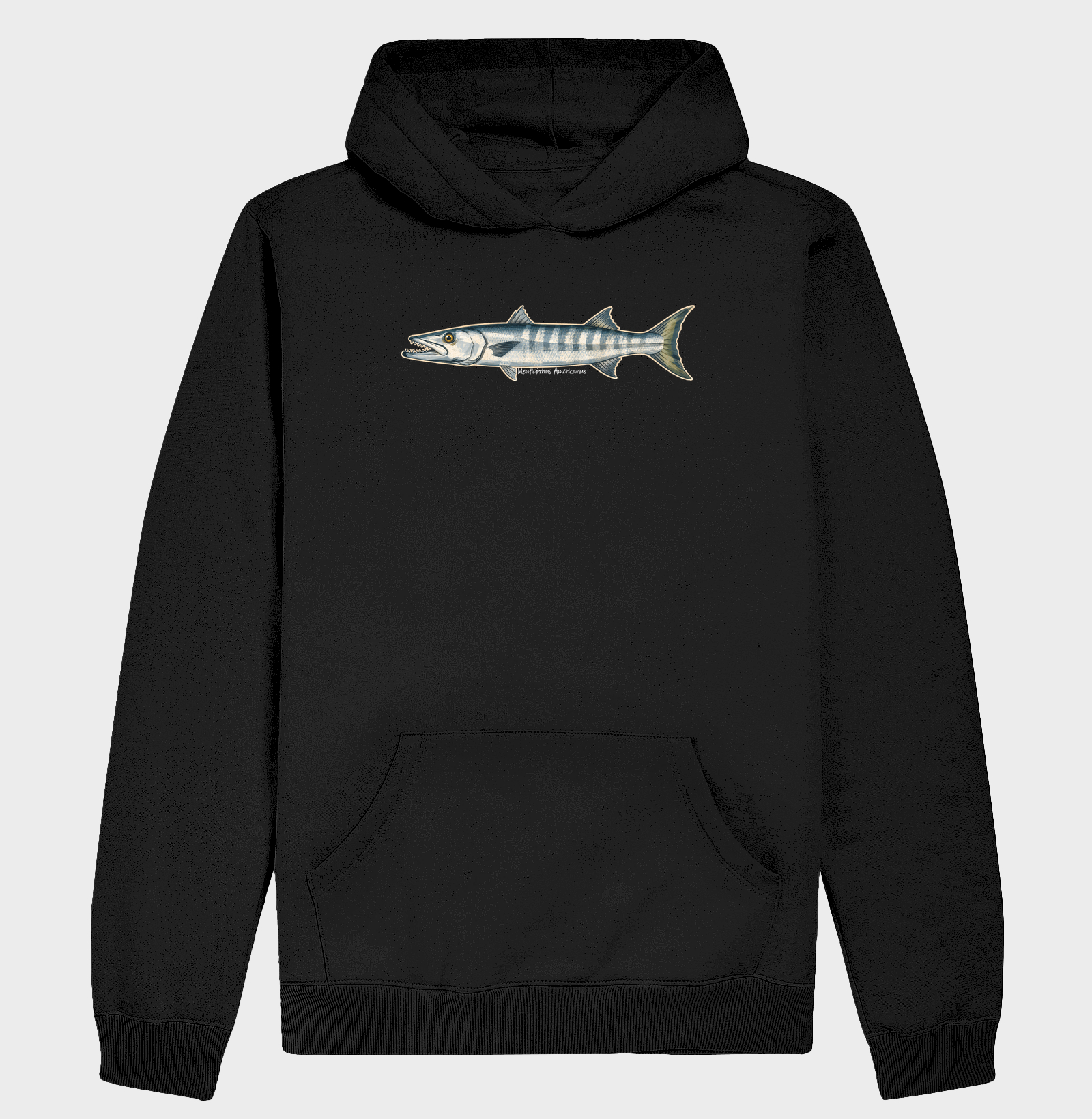 Barracuda