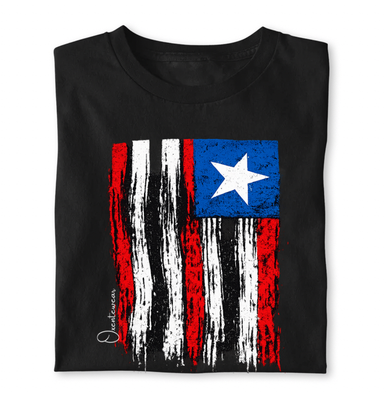 Camiseta Bandeira Maranhão | OxenteWear