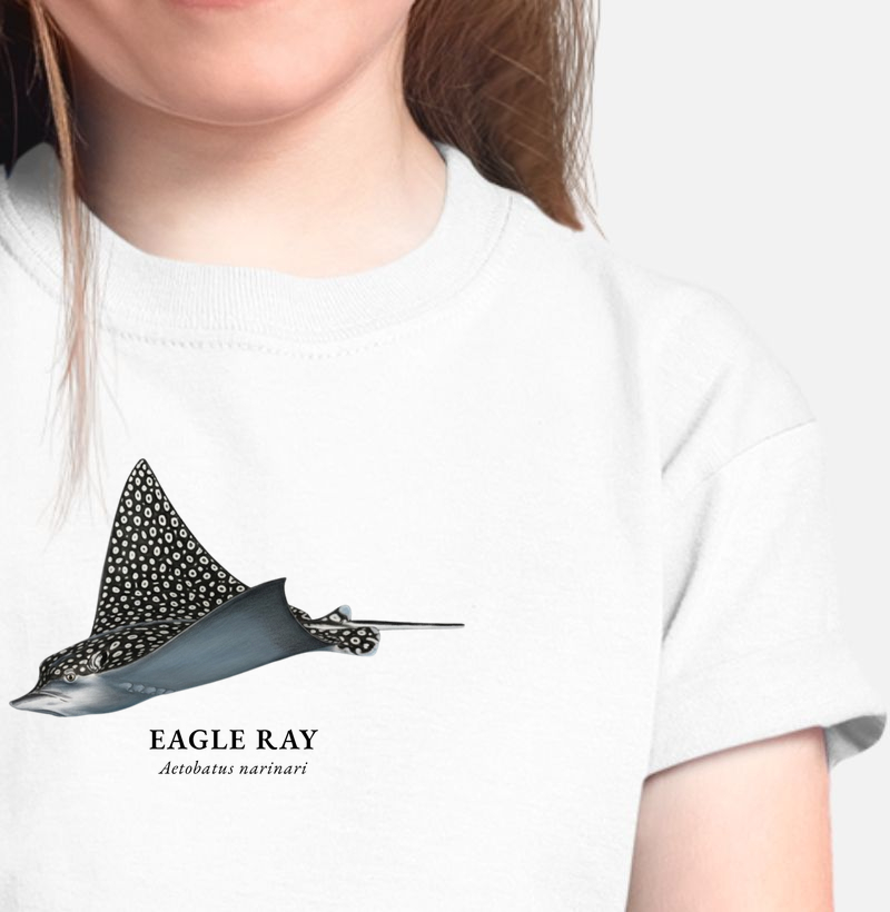 Eagle Ray