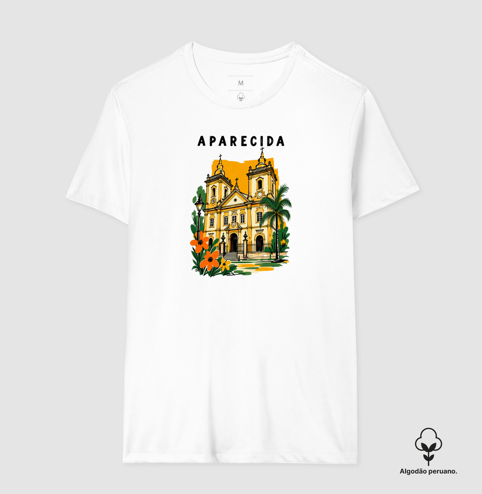 BASÍLICA HISTÓRICA - APARECIDA